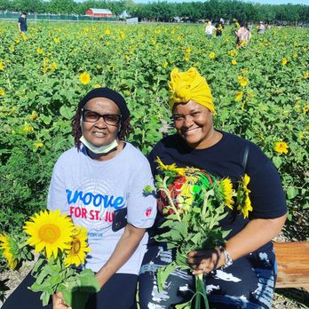 Hunsader Farms - Sunflower  picking - Farms Near Me - Bradenton, Florida