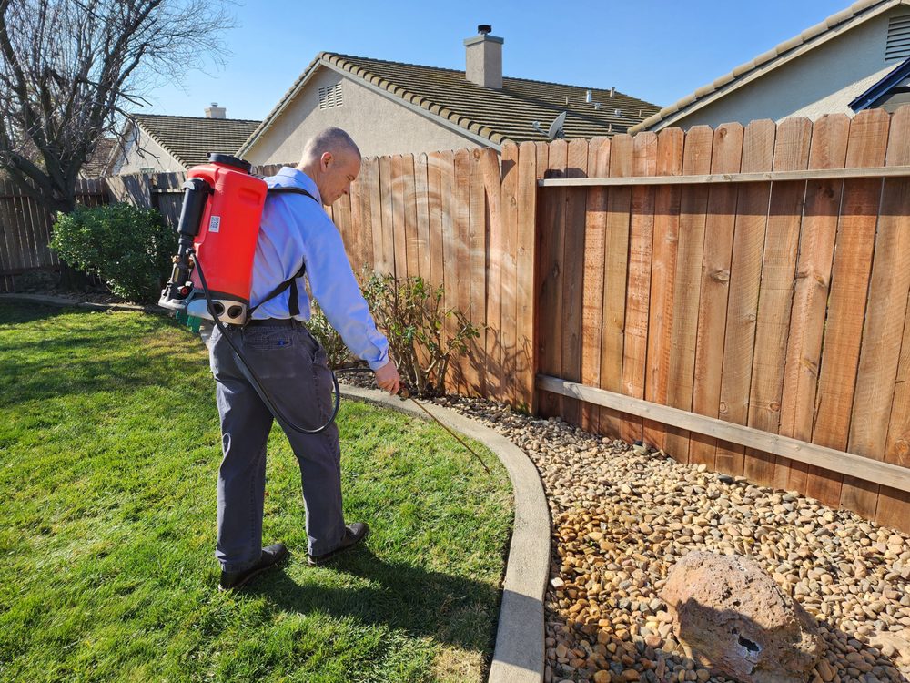 PRIZE PEST CONTROL Updated September 2024 22 Photos & 19 Reviews