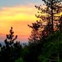 Photo of Sierra Wellness Massage