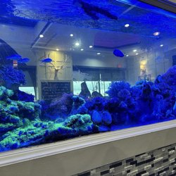 Skyline Nail & Spa - Fish tank inside