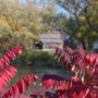 Beckman Mill