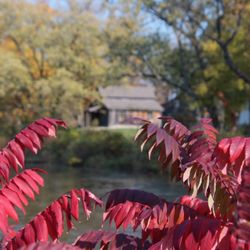 Beckman Mill