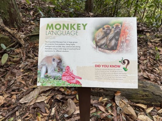 Bukit Timah Nature Reserve by null