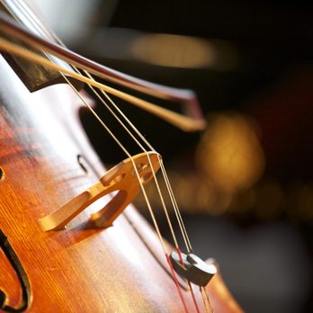 Dr Charles Baker Private Cello Lessons - Musical Instruments & Teachers Near Me Dr Charles Baker Private Cello Lessons - Musical Instruments & Teachers Near Me