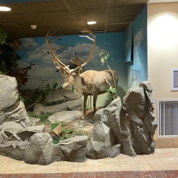 Chula Vista Resort - Resorts Near Me - Wisconsin Dells, Wisconsin Chula Vista Resort - Resorts Near Me - Wisconsin Dells, Wisconsin