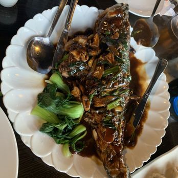 JR Asian Fusion - Fresh catch made by the best chef ever - Asian Fusion Near Me - Long Beach, New York