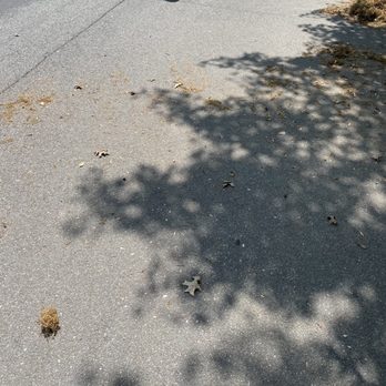 Kaeler Lawn & Landscaping - a person riding a skateboard - Landscaping Near Me - Springfield, Virginia