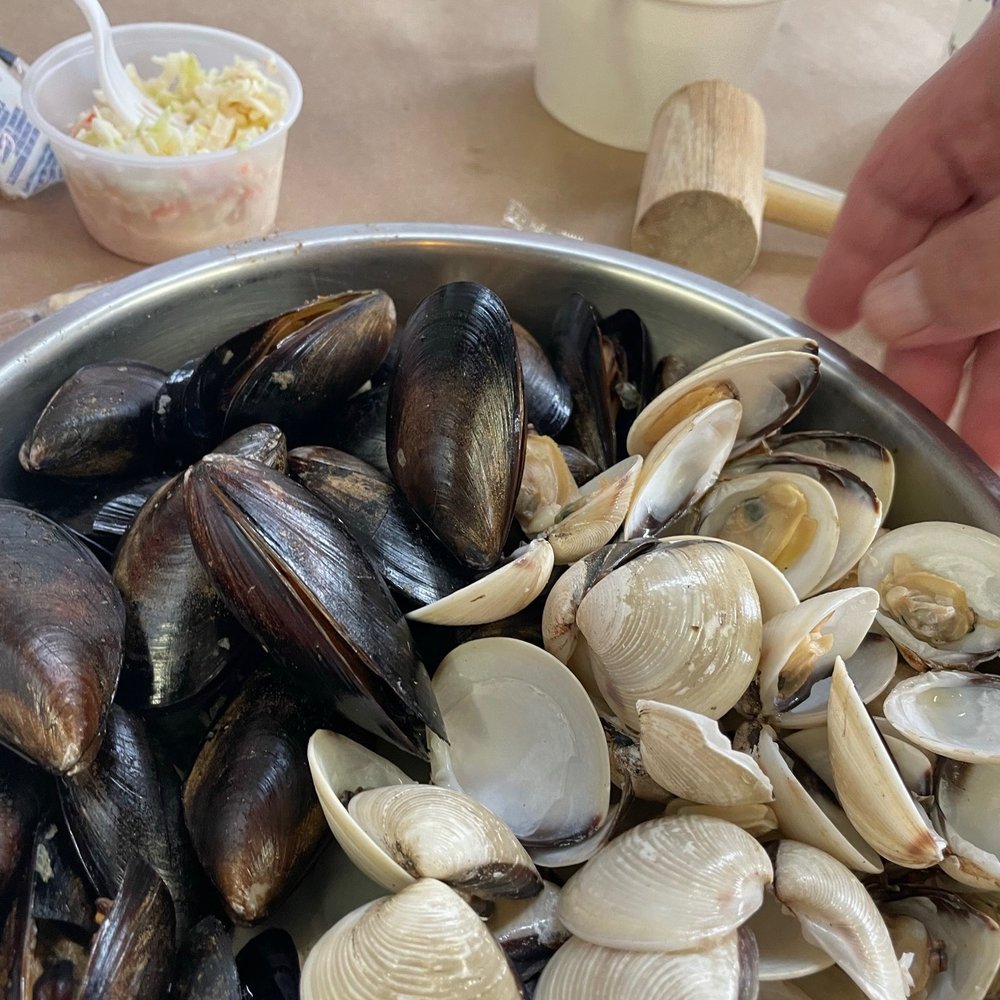 May's Seafood Restaurant - Mussels and clams steamed - Seafood Near Me - Frederick, Maryland May's Seafood Restaurant - Mussels and clams steamed - Seafood Near Me - Frederick, Maryland