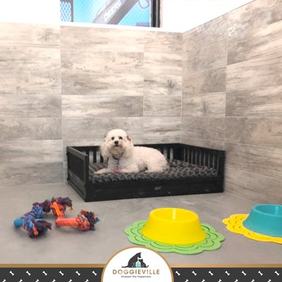 DOGGIEVILLE MTL by null