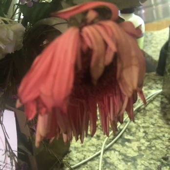 The Flower Company - Dead flowers. - Florists Near Me - Palm Desert, California The Flower Company - Dead flowers. - Florists Near Me - Palm Desert, California