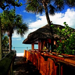 Gumbo Limbo - The Sand Bar is located on the south boardwalk and features signature food and beverage items from Gumbo Limbo restaurant.