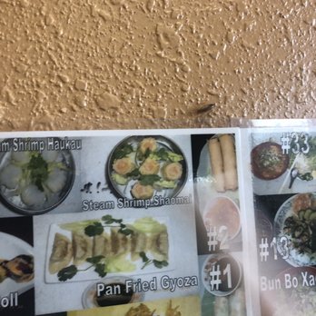 Sushi & Pho - ROACH. - Vietnamese Near Me - Bradenton, Florida