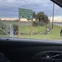 Photo of Dr Jackie Cole West End Dog Recreation Area