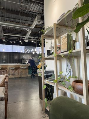 Bungalow Coffee Co by null