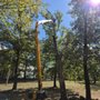 Photo of Cordell tree Service