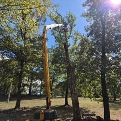 Cordell tree Service - Removal