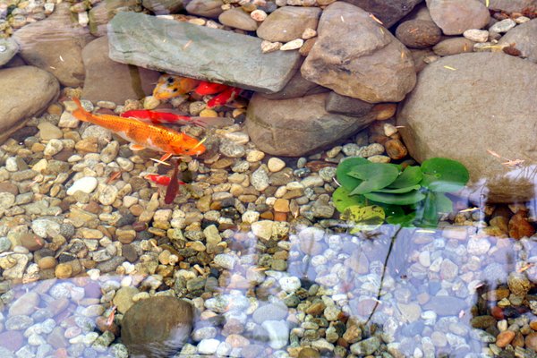 ST JOHN’S HOSPITAL - CAMARILLO - Updated June 2025 - 35 Photos & 175 ...