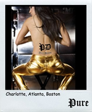 Pure Denim Logo