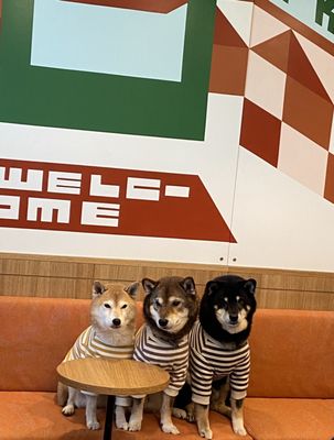 Café Kitsuné by null