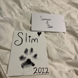 Part of Slim's gift from his favorite groomer @veescissorhands (IG) Part of Slim's gift from his favorite groomer @veescissorhands (IG)