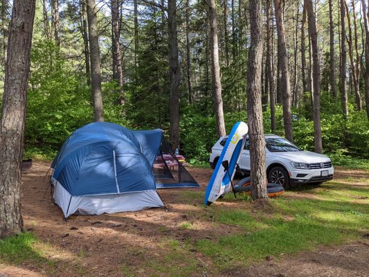Algonquin Provincial Park by null