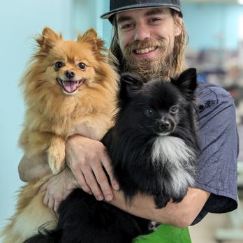 Happy Tails - Pet Groomers Near Me - Harrington, Delaware Happy Tails - Pet Groomers Near Me - Harrington, Delaware
