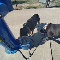 Municipal Dog Park at Doolittle - Water station out front.