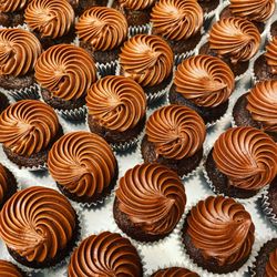 Mission Minis - Double Chocolate : )