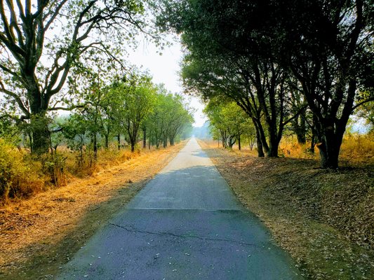 Sebastopol Bike Center by null
