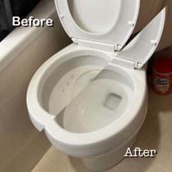 Bear Cleaning Services - Toilet