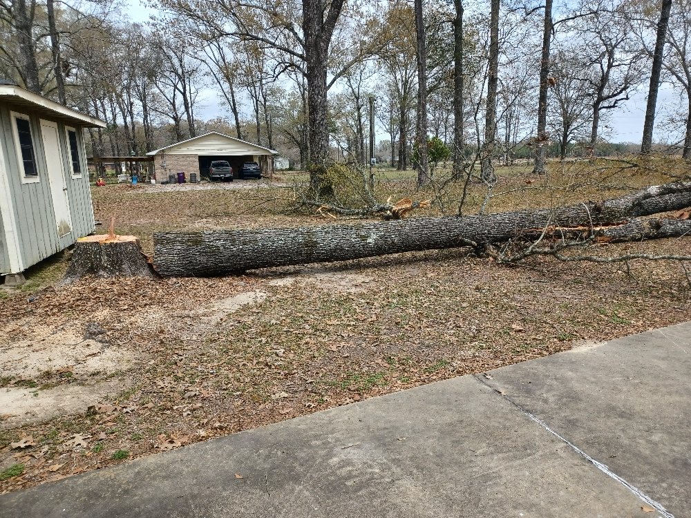 Slide of Hazelton's Clearing Service