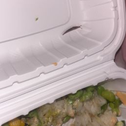 Live slug in the lid of takeout bowl Live slug in the lid of takeout bowl