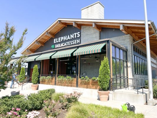 Elephants on Cedar Hills by null