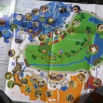 Cameron Park Zoo - Map of the Zoo - Zoos Near Me - Waco, Texas