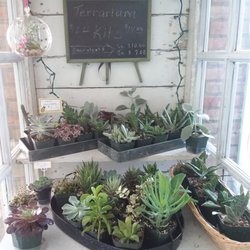 Lyle's Flowers & Greenhouses - Succulents