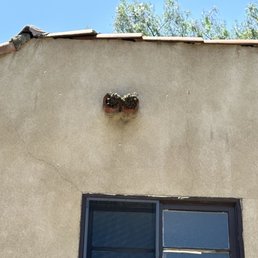 The bees are coming to my attic via the attic! The bees are coming to my attic via the attic!