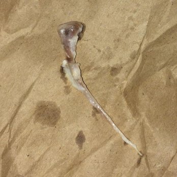 Cicek's Chicken - HUGE bone found in my chicken wrap. - Mediterranean Near Me - Chatsworth, California Cicek's Chicken - HUGE bone found in my chicken wrap. - Mediterranean Near Me - Chatsworth, California