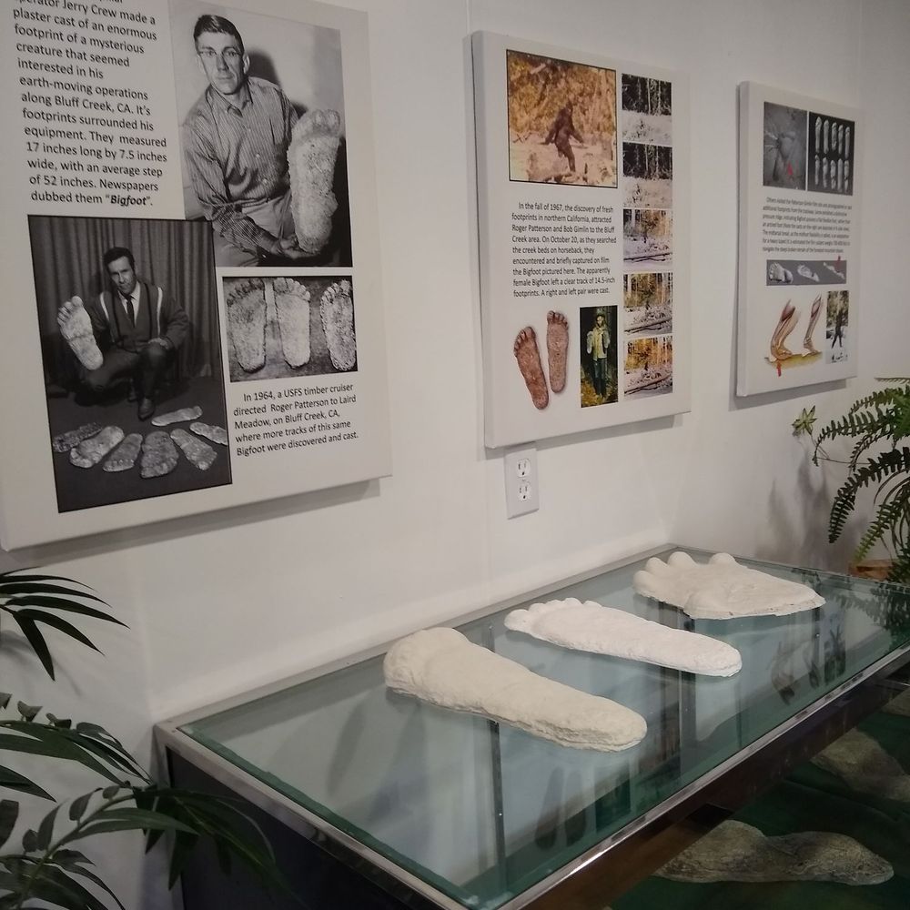 West Virginia Big Foot Museum - Museums Near Me - Sutton, West Virginia West Virginia Big Foot Museum - Museums Near Me - Sutton, West Virginia