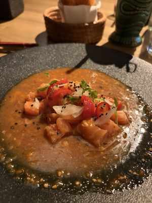 ANIMAL Tijuana by null