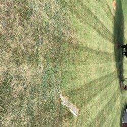 Davis Lawn Care - Previous yard I mowed