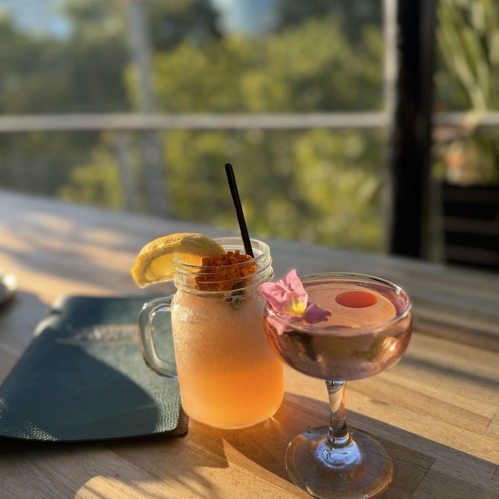 Darling Aviary - Slush and drink from the happy hour menu - Bars Near Me - Sacramento, California