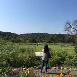 Shoal Creek Conservation Education Center - Lots of excellent habitat for birds and other small animals.
