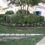 Photo of Gutierrez Lawn Service