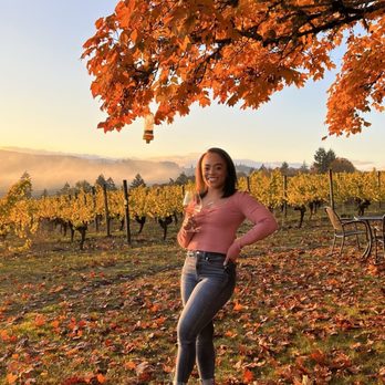 Willamette Valley Vineyards - Tualatin Estate - Perfect Fall Day - Wineries Near Me - Forest Grove, Oregon Willamette Valley Vineyards - Tualatin Estate - Perfect Fall Day - Wineries Near Me - Forest Grove, Oregon