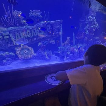 Flanigan's - North Miami - American Near Me - Miami, Florida
