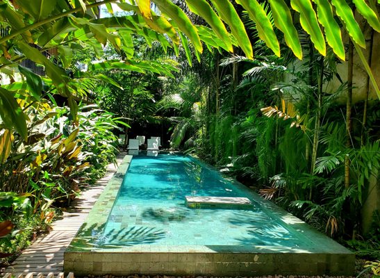 Hotel Villa Amazônia by null