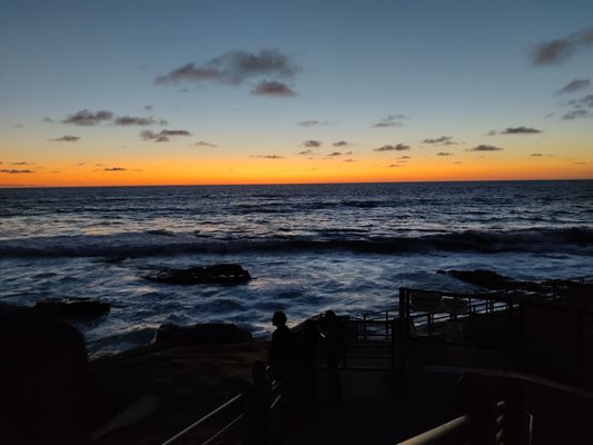 Children's Pool La Jolla by null