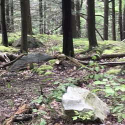 New Paltz - Acupuncture Health Care - Minnewaska State Park near New Paltz