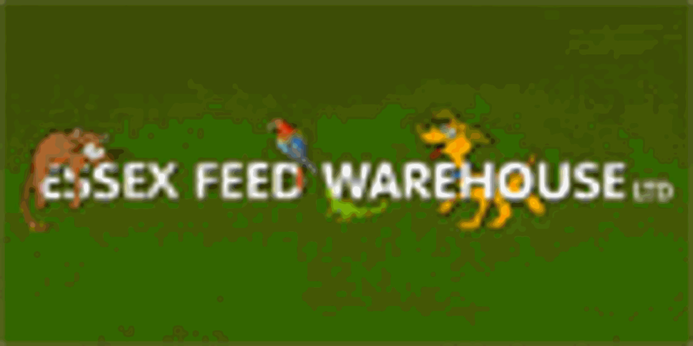 ESSEX FEED WAREHOUSE Updated May 2024 48 Wilson Avenue, Essex