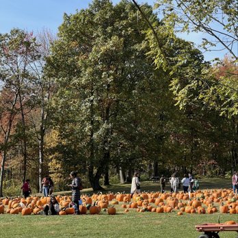 DuBois Farms - Pumpkin farm - Bakeries Near Me - Highland, New York DuBois Farms - Pumpkin farm - Bakeries Near Me - Highland, New York